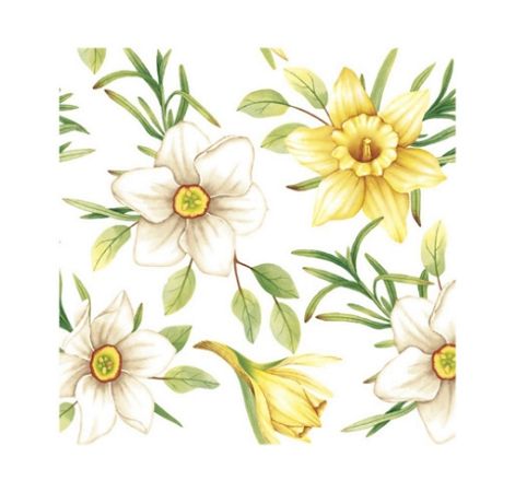 Serwetki 33 x 33 cm (20szt) Polmak - Daisy żonkile 55.SD-WI-007601 Serwetki 33 x 33 cm (20szt) Polmak - Daisy żonkile 55.SD-WI-007601